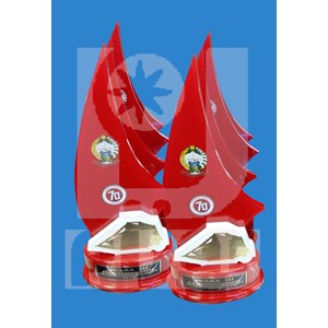 trophy lomba desa sulsel-5