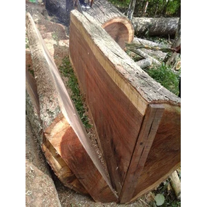 kayu suar/trembesi-1