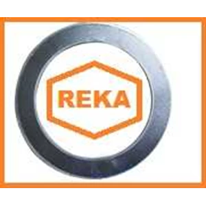 tanged metal reinforced graphite gasket