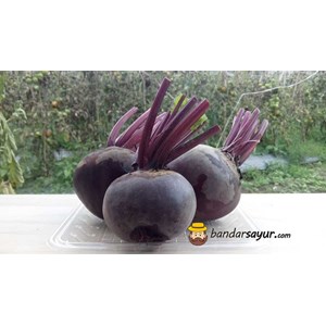 beet root (super)
