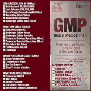 gmp (global medical plan)