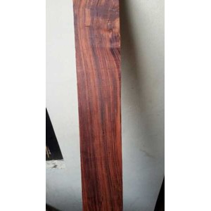 kayu rengas