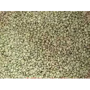 raw robusta coffee beans-2