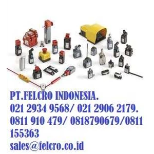 pt felcro indonesia - pizzato elettrica-1