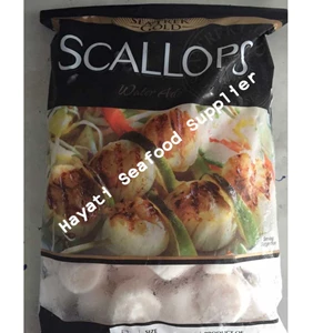 scallops import