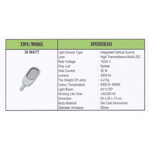 lampu pju solar cell 30 watt-5