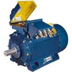 marelli motori induction motor-4