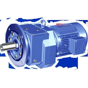 helical & bevel gear motor-2