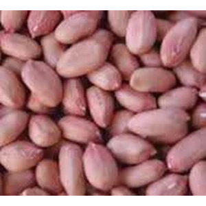 kacang tanah import