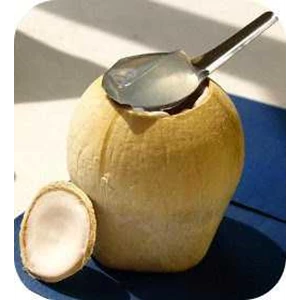 coconut jelly kelapa thailand-2