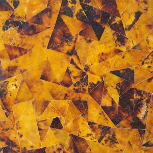seashell panel-5