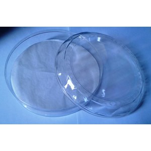toples diamon 888 atm-4