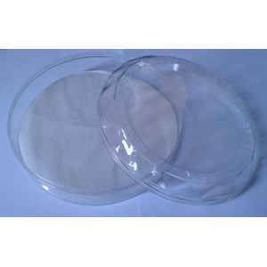 toples diamon 888 atm-2