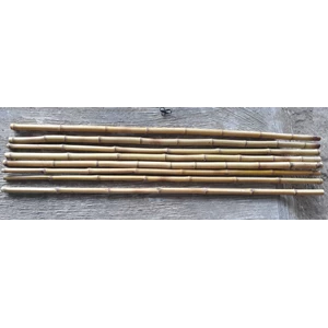 bambu cendani berkualitas-1