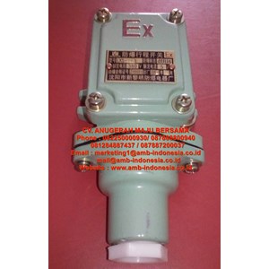limit switch explosion proof hellon hrlm lx5 limit switch-5