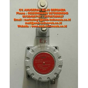 limit switch explosion proof helon dlxk limit traver switch-6