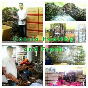 kayu manis / cinnamon / cassia