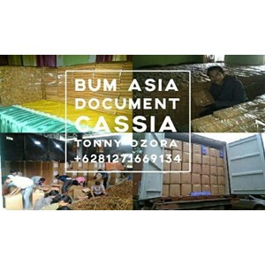 kayu manis herbal-6