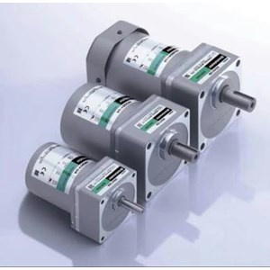 motor ac oriental motor-1
