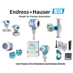 endress+hauser fts20 /fmu230/fdu80/fmr230/fmp40/fmi51/ftl20h/50p15-3