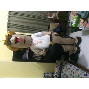 maskot kostum badut kpu ntt