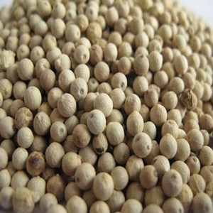 sale white pepper seeds-5