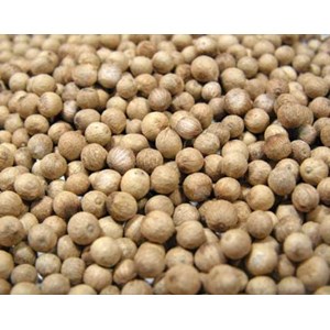 sale white pepper seeds-4