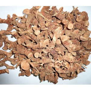 sell fresh and dried galangal from indonesia-5