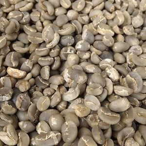 sell arabica coffee bean from tana toraja indonesia-4