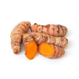 sell fresh turmeric from indonesia