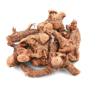 sell fresh and dried galangal from indonesia-6