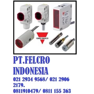 carlo gavazzi|pt.felcro indonesia|0818790679|sales@felcro.co.id-6