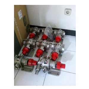 dinflo laminar gear pump-1