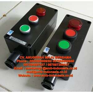 push button explosion proof control unit lcs-6