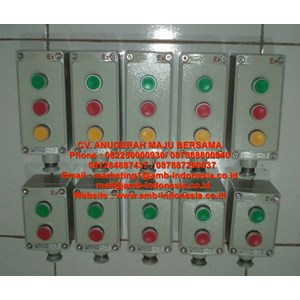 push button explosion proof control unit lcs-2