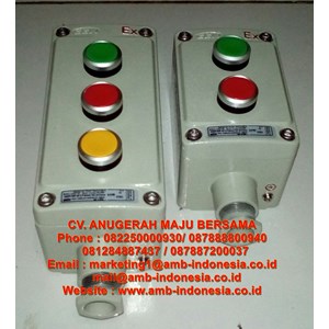 push button explosion proof control unit lcs-4