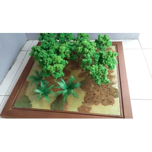 miniatur ekosistem hutan mangrove-4