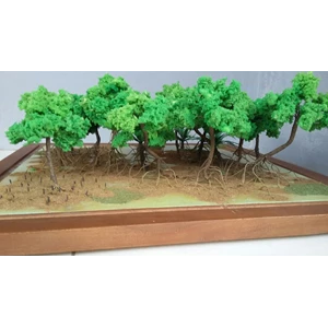 miniatur ekosistem hutan mangrove-2