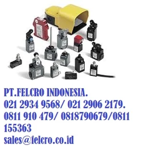 pizzato elettrica|pt.felcro indonesia|0811.155.363-4