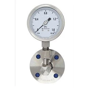 diaphragm seal pressure gauge-2