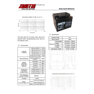 baterai pju zanneta 45 amper-3
