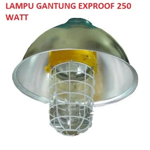 lampu gantung eew 150 & 250 watt explosion proof warom-2