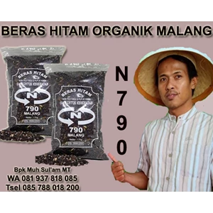 beras hitam organik n790 malang-5