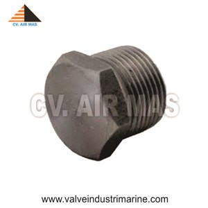 hex head plug