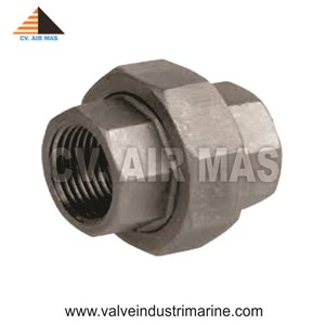 union socket weld/ npt