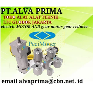 eletric motor and gear reducer toko alva