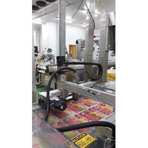 conveyor, head moving device - industrial inkjet application-1