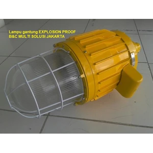 lampu explosion proof crousehind