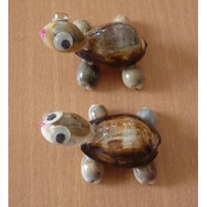black cowrie shell toys / mainan hewan cowrie hitam dari kerang
