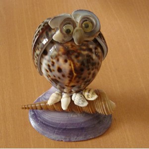 shell toys with ghost birds art / mainan hewan burung hantu dari kerang